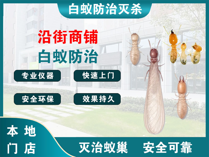 滨江沿街商铺白蚁防治