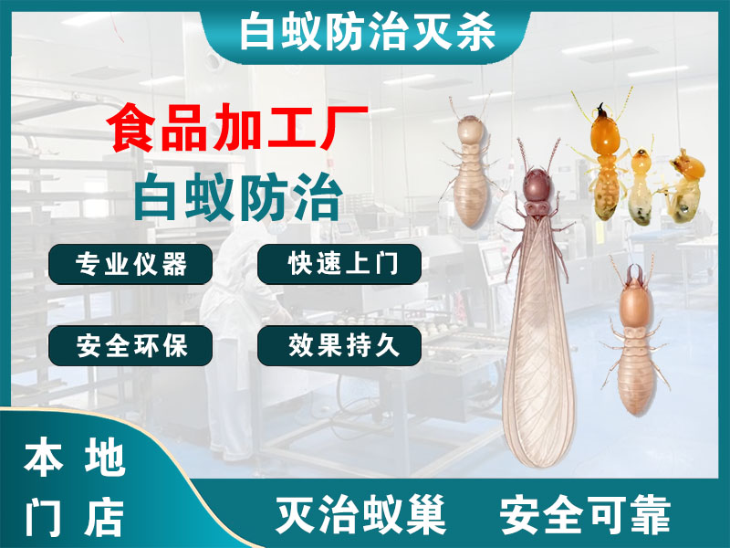 滨江食品加工厂白蚁防治