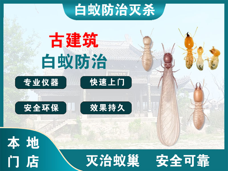 滨江古建筑白蚁防治