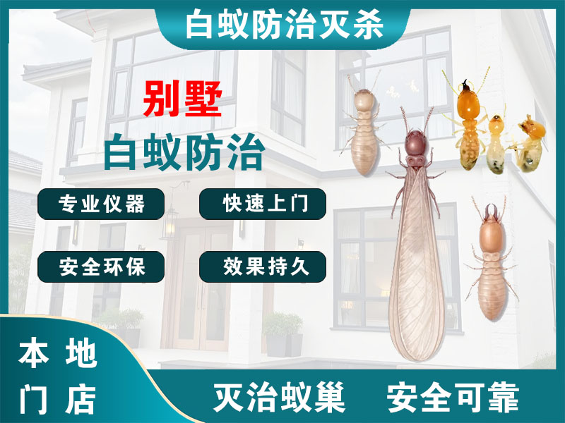 滨江别墅白蚁防治
